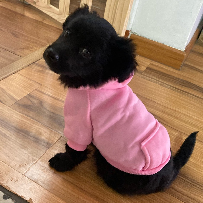 SWEAT à capuche pour chien, petit et moyen
