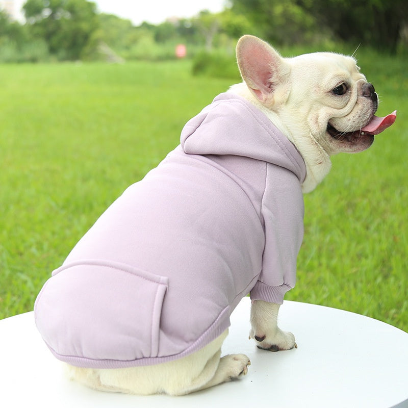 SWEAT à capuche pour chien, petit et moyen