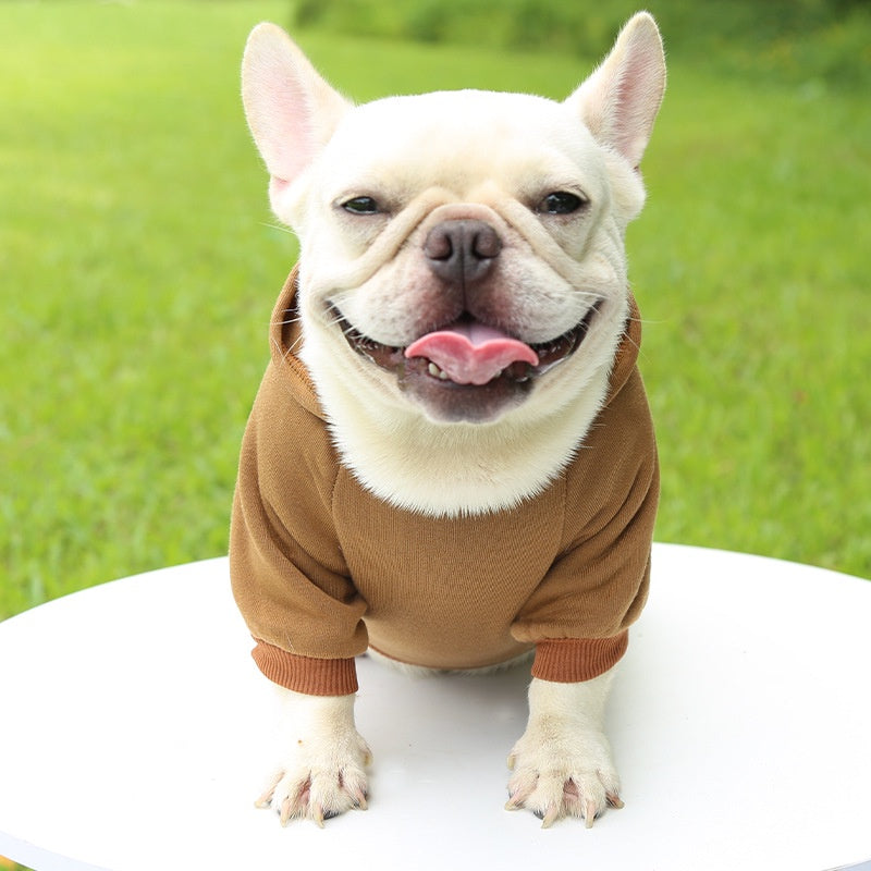 SWEAT à capuche pour chien, petit et moyen