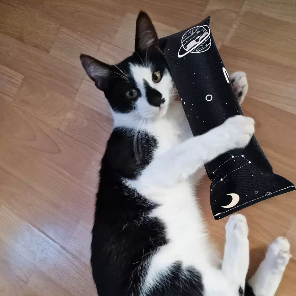 Rouleau de Jeu HERBE à CHAT - Le Rouleau de l'Espace – Spatial Collection