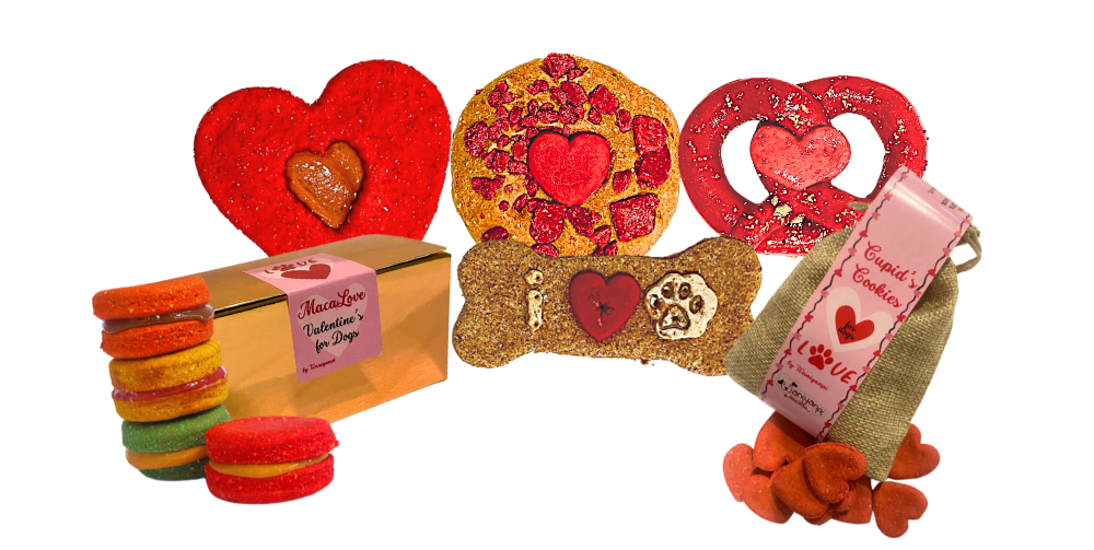 Coffret Gourmand de BISCUITS pour Chien