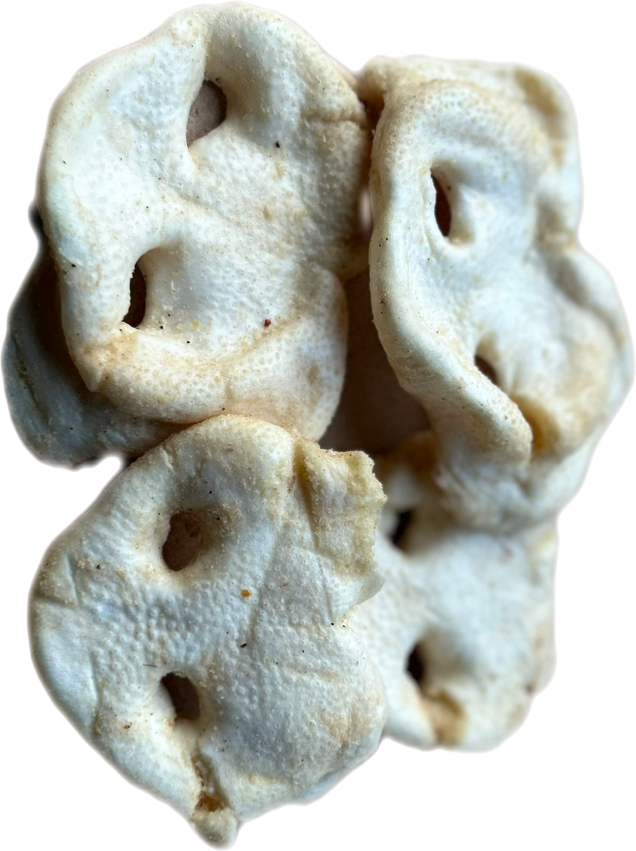 GROINS de PORC soufflés (Lot de 2)