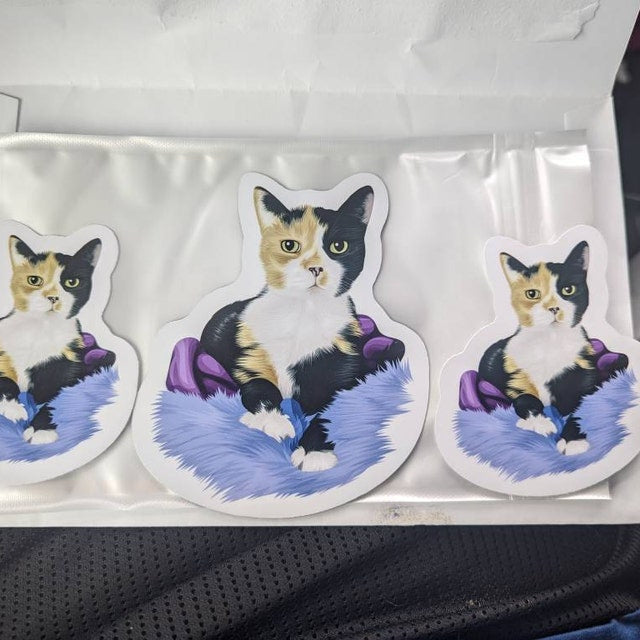 MAGNET pour frigo CHAT