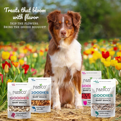 Friandises de mûres lyophilisées pour chiens et chats