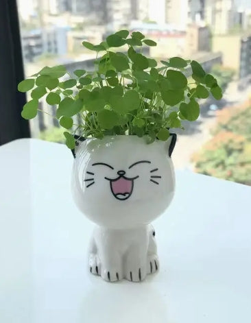 🐾 Mini Vase – Tête de Chat 🐱