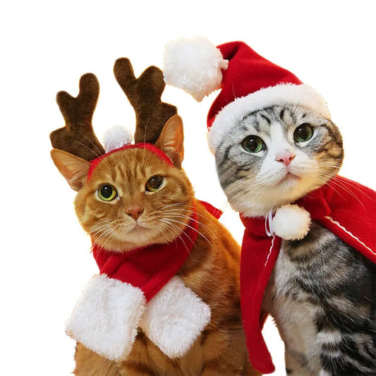 🎄 Accessoires de Noël pour Animaux – Chapeau, Bois de Renne, Couronne Festive 🐾