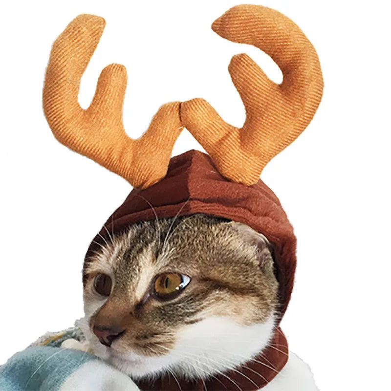 🎄 Accessoires de Noël pour Animaux – Chapeau, Bois de Renne, Couronne Festive 🐾