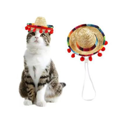Mini Chapeau Mexicain en Paille pour Animaux – Sombrero Fun pour Chat et Chien
