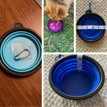 Bol Pliable pour Chien & Chat – La Gamelle Portable Indispensable en Voyage