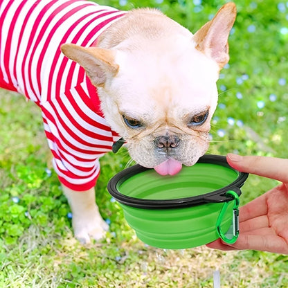 Bol Pliable pour Chien & Chat – La Gamelle Portable Indispensable en Voyage