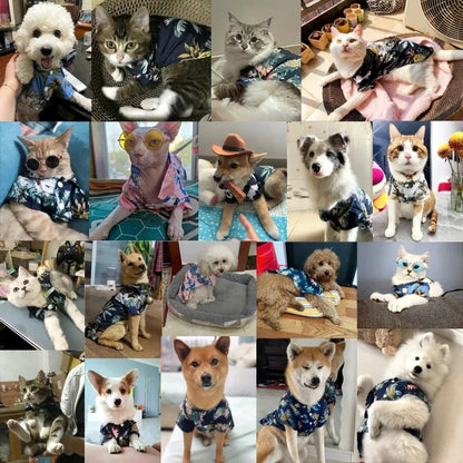 🌺🌴 Chemise Hawaïenne pour Chien et Chat pour une élégance tropicale de vos compagnons à quatre pattes !