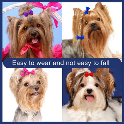 🎀 Nœuds de Toilettage Mignons – Lot de 10 / 20 / 30 pièces 🐶🐾