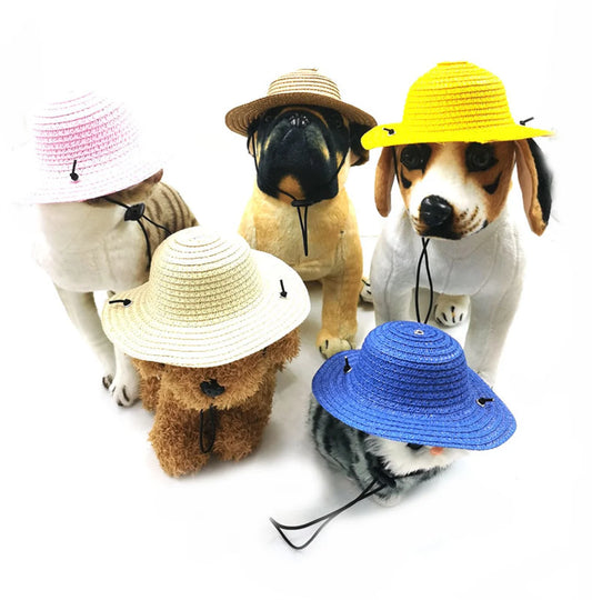 CHAPEAU de Paille pour Animal de Compagnie – Le Style Estival à Adopter !