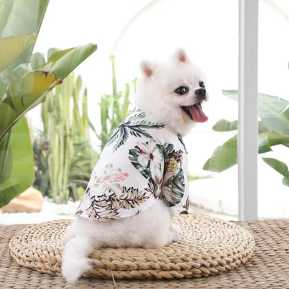 🌺🌴 Chemise Hawaïenne pour Chien et Chat pour une élégance tropicale de vos compagnons à quatre pattes !