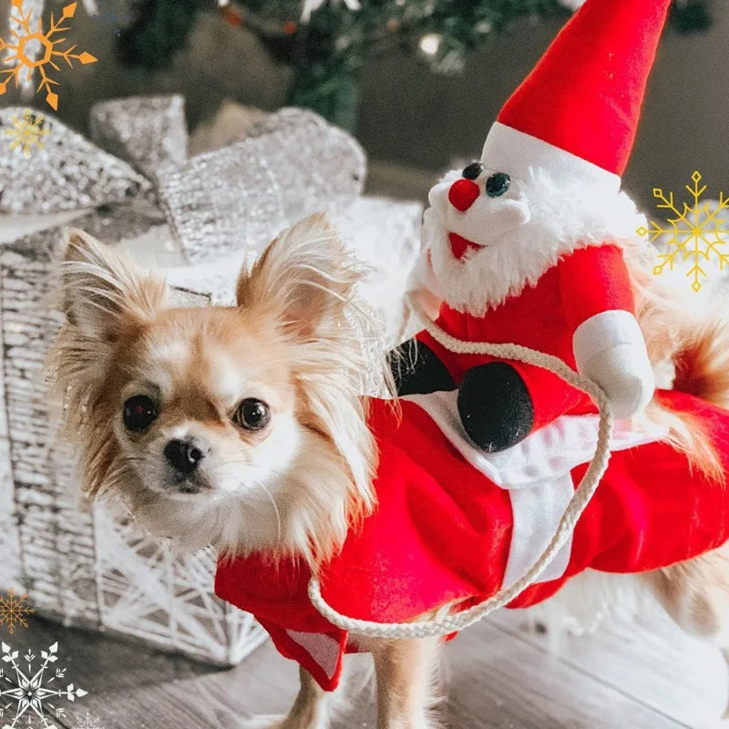 COSPLAY de Noël amusant pour animaux de compagnie