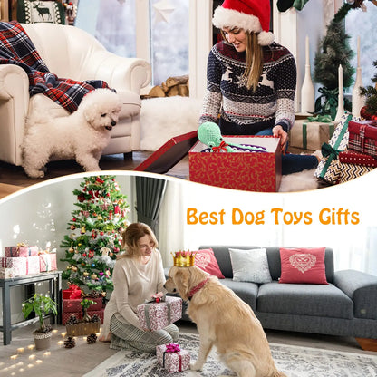 Peluche Grinçante pour Chien – Jouet à Mâcher Durable et Amusant