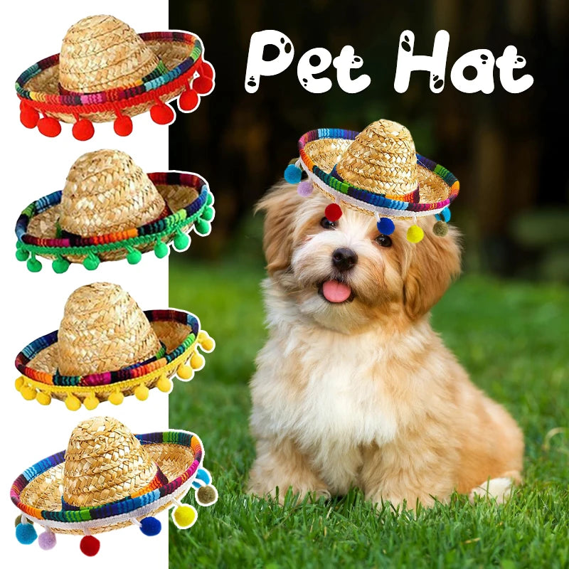 Mini Chapeau Mexicain en Paille pour Animaux – Sombrero Fun pour Chat et Chien