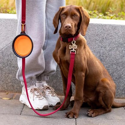 Bol Pliable pour Chien & Chat – La Gamelle Portable Indispensable en Voyage