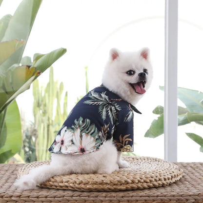 🌺🌴 Chemise Hawaïenne pour Chien et Chat pour une élégance tropicale de vos compagnons à quatre pattes !