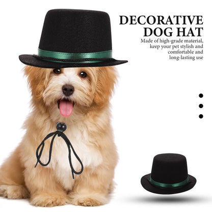 Chapeau Style Gangster pour Animaux – L’élégance avec une touche de swag