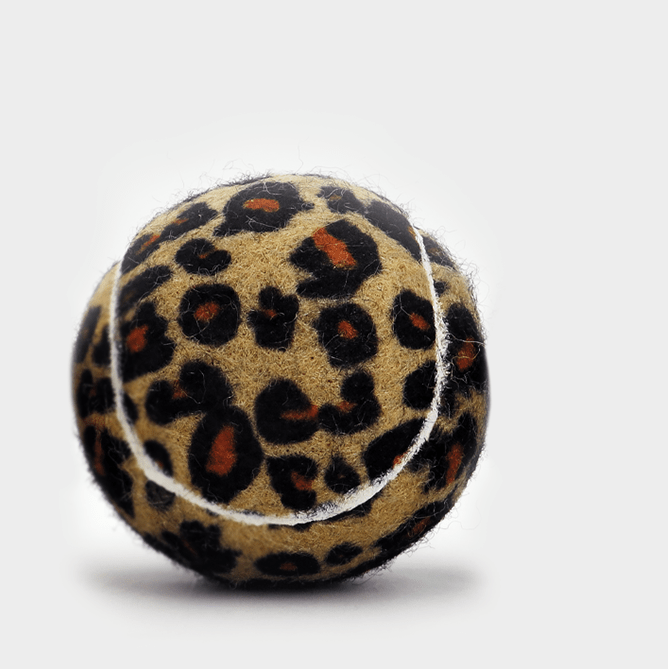 BALLE DE TENNIS SPORTSPET édition jungle – lot de 3, Ø 65 mm