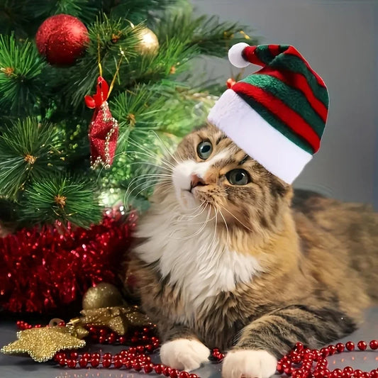 Chapeau de noël multicolore pour animaux de compagnie