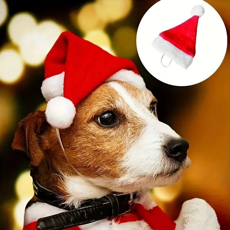 Chapeau de noël multicolore pour animaux de compagnie