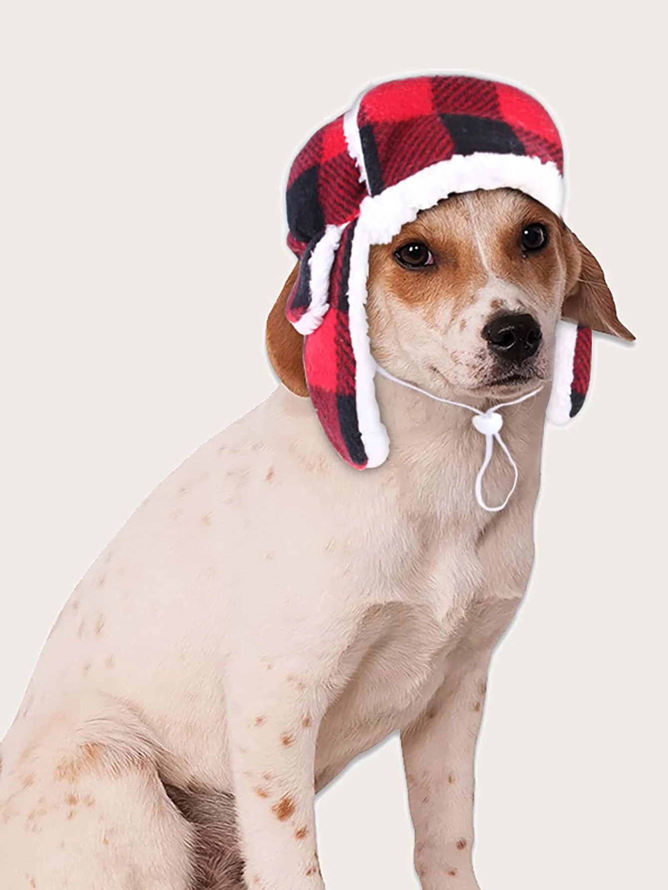 Béret tricoté chaud pour chien et chat – Hiver