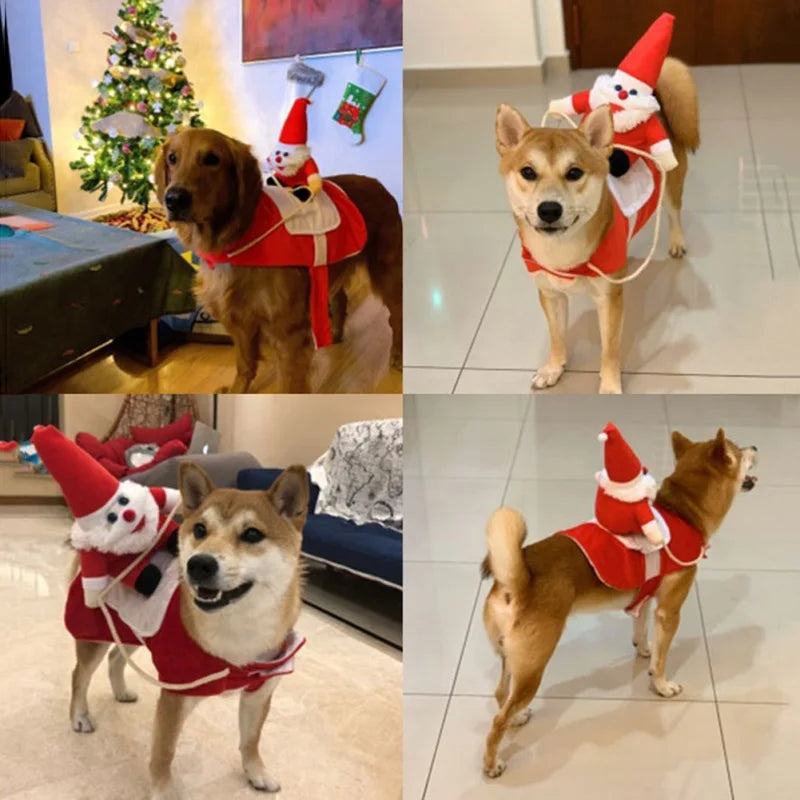 COSPLAY de Noël amusant pour animaux de compagnie