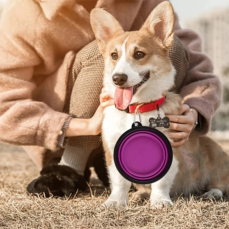 Bol Pliable pour Chien & Chat – La Gamelle Portable Indispensable en Voyage