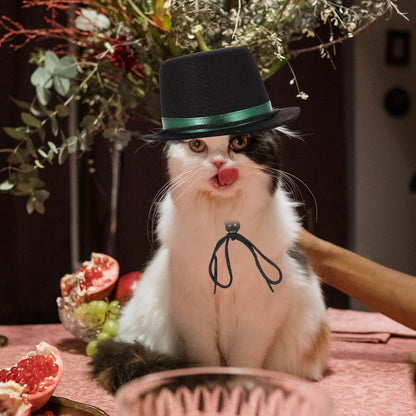 Chapeau Style Gangster pour Animaux – L’élégance avec une touche de swag