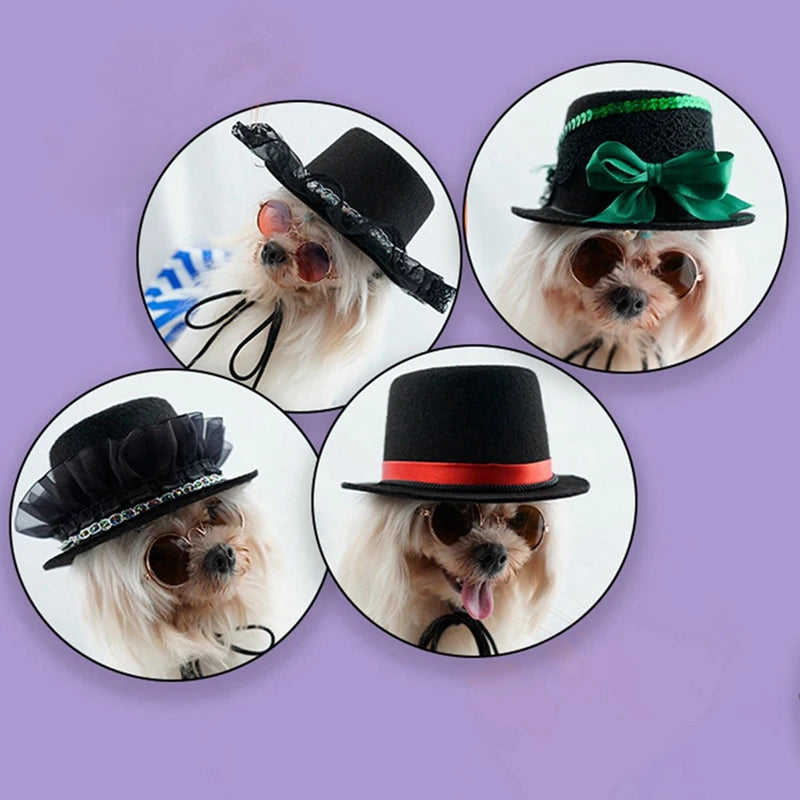 Chapeau Haut-de-Forme Noir avec Ruban Coloré pour Animaux