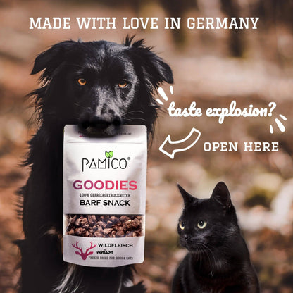 Friandises de mûres lyophilisées pour chiens et chats