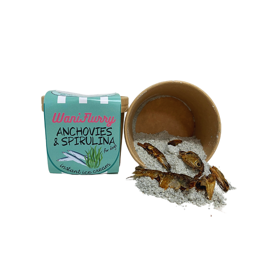 🍦 Crème Glacée Anchois et Spiruline – Un moment givré de pur bonheur ! ❄️🐶