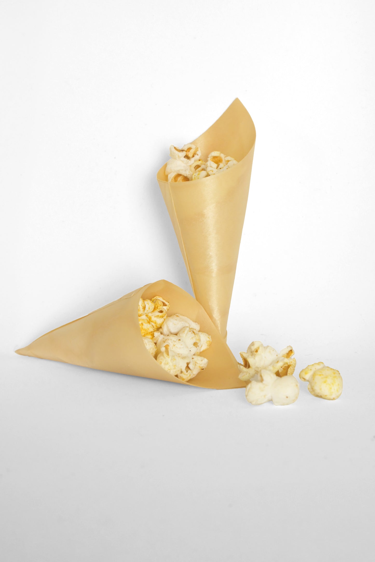 POPCORN au curcuma pour chiens